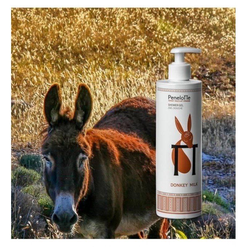 PENELOPE ΑΦΡΟΛΟΥΤΡΟ DONKEY MILK 500ML