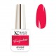 NC NAILS FREEFUCHSIA 6ML